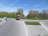 Maibaum_2016 (70).JPG